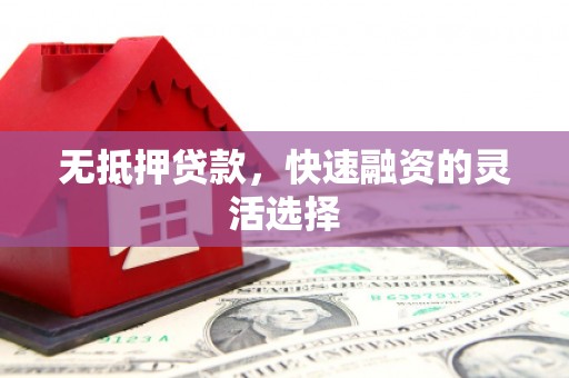 日喀则无抵押贷款，快速融资的灵活选择