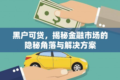 日喀则黑户可贷，揭秘金融市场的隐秘角落与解决方案