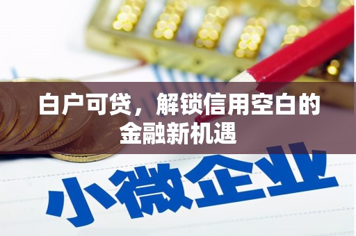 日喀则白户可贷，解锁信用空白的金融新机遇