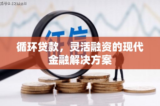 日喀则循环贷款，灵活融资的现代金融解决方案