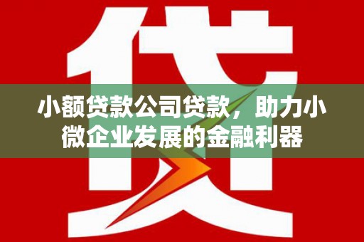 日喀则小额贷款公司贷款，助力小微企业发展的金融利器