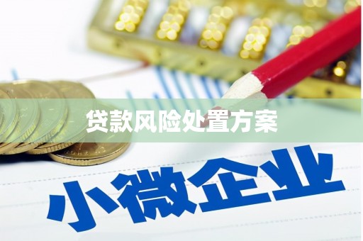 日喀则贷款风险处置方案