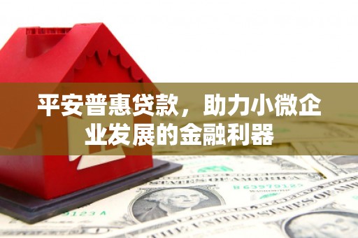 日喀则平安普惠贷款，助力小微企业发展的金融利器