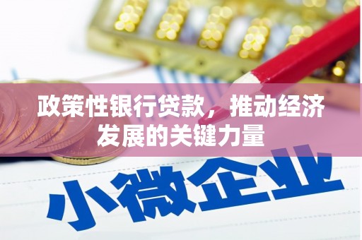 日喀则政策性银行贷款，推动经济发展的关键力量