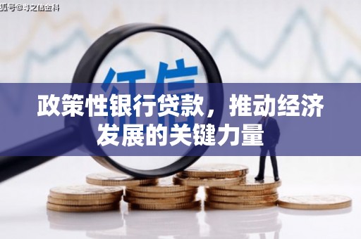 日喀则政策性银行贷款，推动经济发展的关键力量
