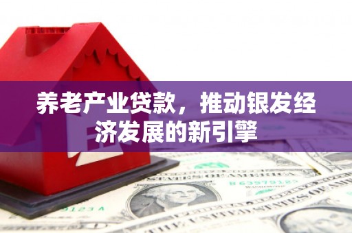 日喀则养老产业贷款，推动银发经济发展的新引擎