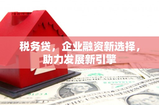 日喀则税务贷，企业融资新选择，助力发展新引擎
