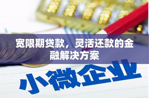 日喀则宽限期贷款，灵活还款的金融解决方案