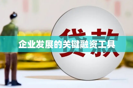 日喀则企业发展的关键融资工具