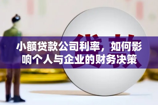 日喀则小额贷款公司利率，如何影响个人与企业的财务决策