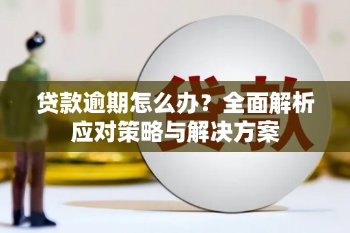 日喀则贷款逾期怎么办？全面解析应对策略与解决方案