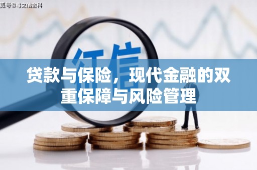 日喀则贷款与保险，现代金融的双重保障与风险管理