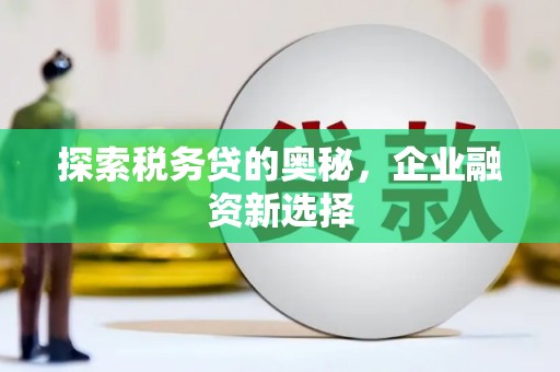 日喀则探索税务贷的奥秘，企业融资新选择