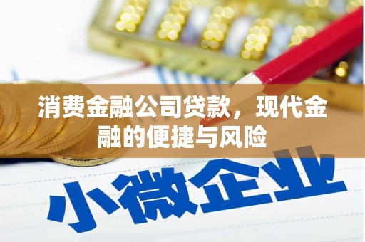 日喀则消费金融公司贷款，现代金融的便捷与风险