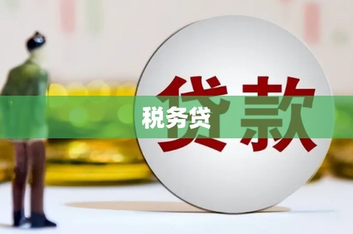 日喀则税务贷