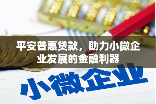 日喀则平安普惠贷款，助力小微企业发展的金融利器