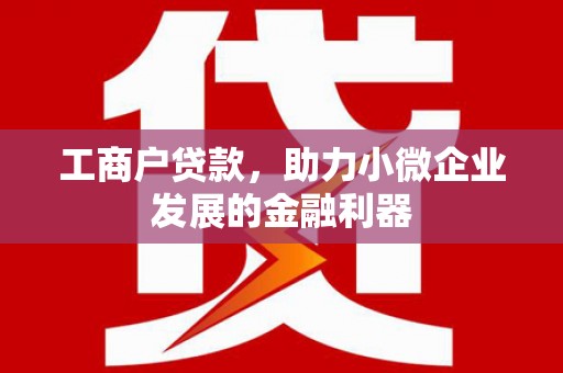 日喀则工商户贷款，助力小微企业发展的金融利器
