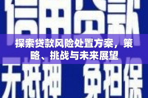 日喀则探索贷款风险处置方案，策略、挑战与未来展望