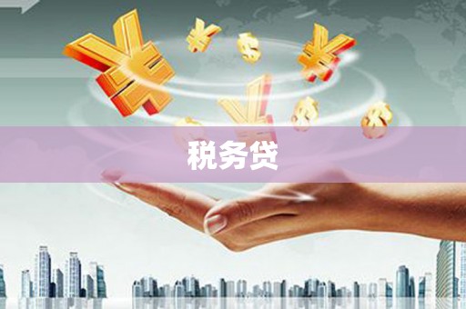 日喀则税务贷