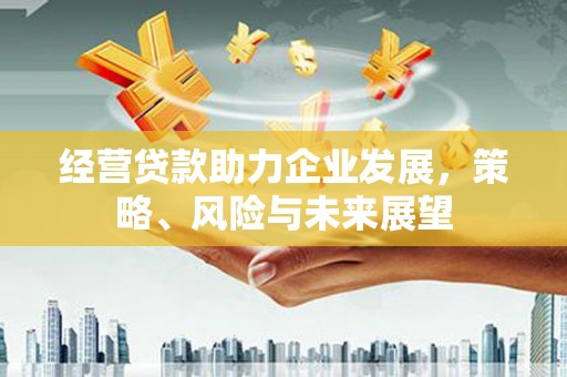 日喀则经营贷款助力企业发展，策略、风险与未来展望