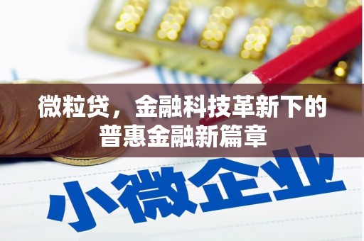 日喀则微粒贷，金融科技革新下的普惠金融新篇章