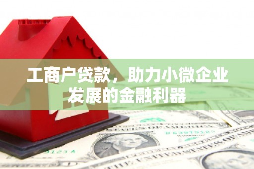 日喀则工商户贷款，助力小微企业发展的金融利器