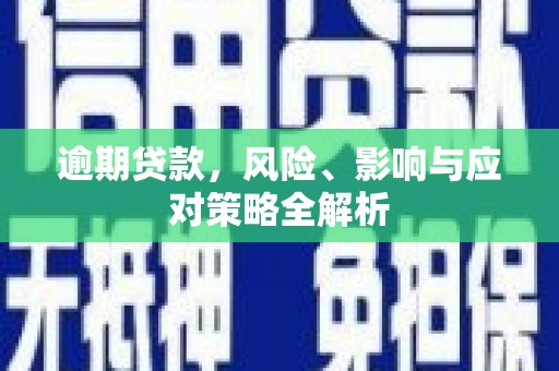 日喀则逾期贷款，风险、影响与应对策略全解析
