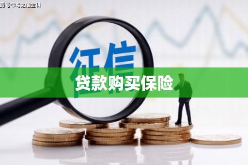 日喀则贷款购买保险