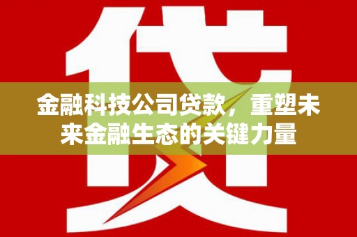 日喀则金融科技公司贷款，重塑未来金融生态的关键力量