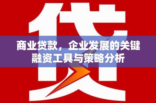 日喀则商业贷款，企业发展的关键融资工具与策略分析
