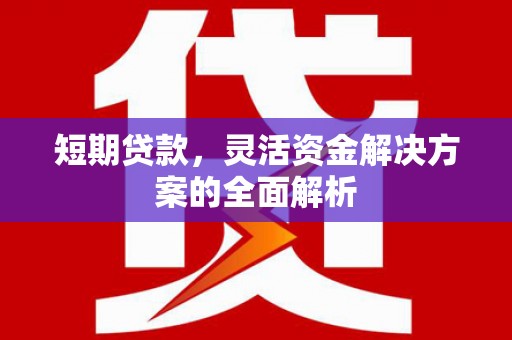 日喀则短期贷款，灵活资金解决方案的全面解析