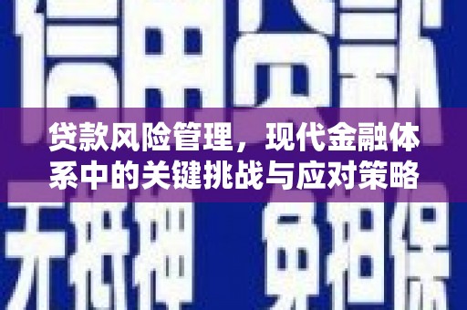 日喀则贷款风险管理，现代金融体系中的关键挑战与应对策略