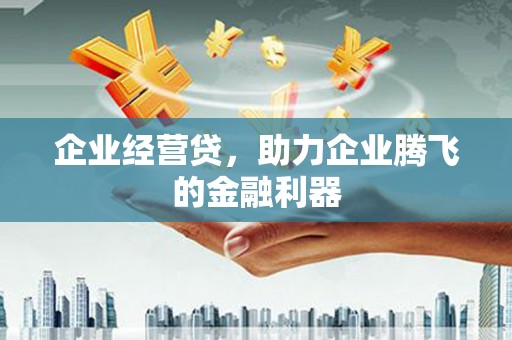 日喀则企业经营贷，助力企业腾飞的金融利器
