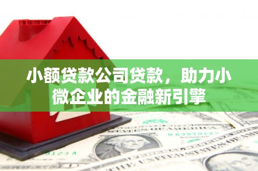 日喀则小额贷款公司贷款，助力小微企业的金融新引擎