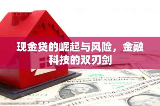 日喀则现金贷的崛起与风险，金融科技的双刃剑