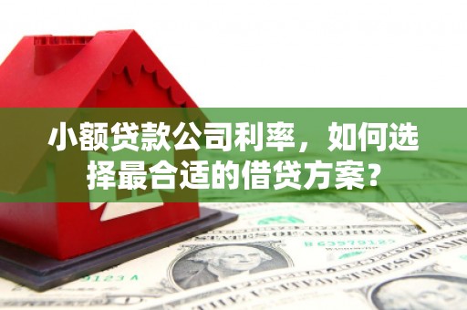 日喀则小额贷款公司利率，如何选择最合适的借贷方案？