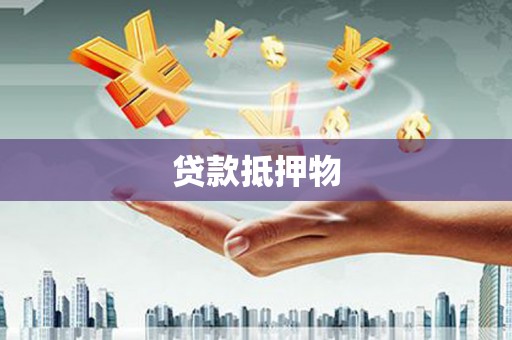 日喀则贷款抵押物