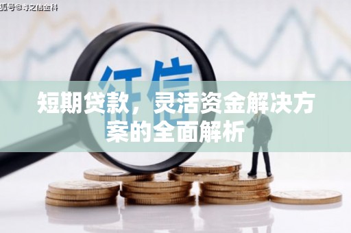 日喀则短期贷款，灵活资金解决方案的全面解析