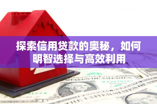 日喀则探索信用贷款的奥秘，如何明智选择与高效利用