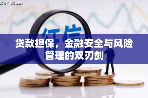 日喀则贷款担保，金融安全与风险管理的双刃剑