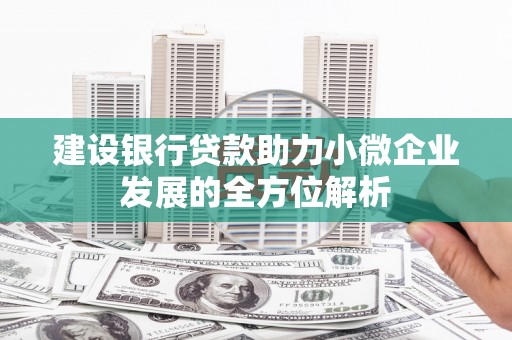 日喀则建设银行贷款助力小微企业发展的全方位解析