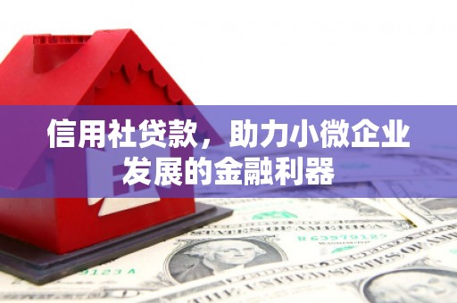 日喀则信用社贷款，助力小微企业发展的金融利器