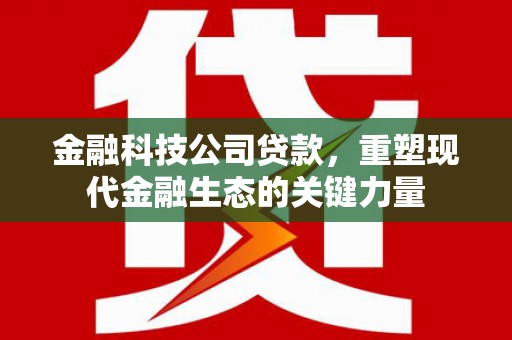 日喀则金融科技公司贷款，重塑现代金融生态的关键力量