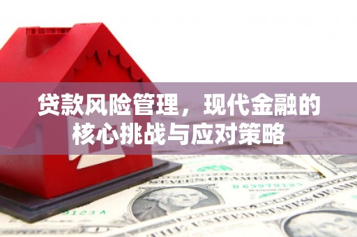 日喀则贷款风险管理，现代金融的核心挑战与应对策略
