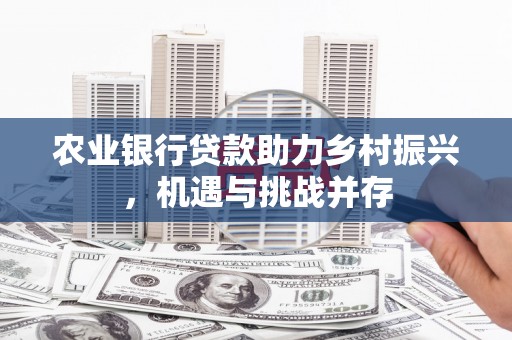 日喀则农业银行贷款助力乡村振兴，机遇与挑战并存