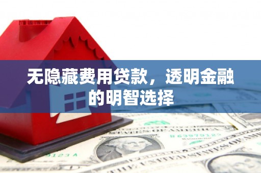 日喀则无隐藏费用贷款，透明金融的明智选择