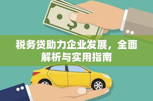 日喀则税务贷助力企业发展，全面解析与实用指南