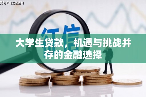 日喀则大学生贷款，机遇与挑战并存的金融选择