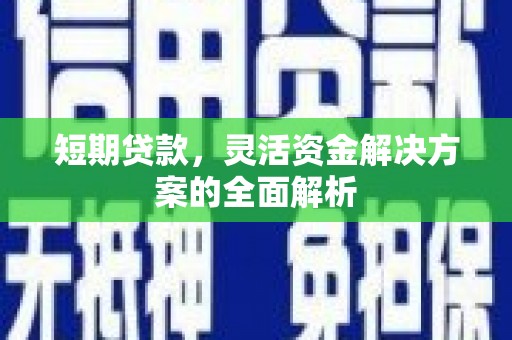 日喀则短期贷款，灵活资金解决方案的全面解析
