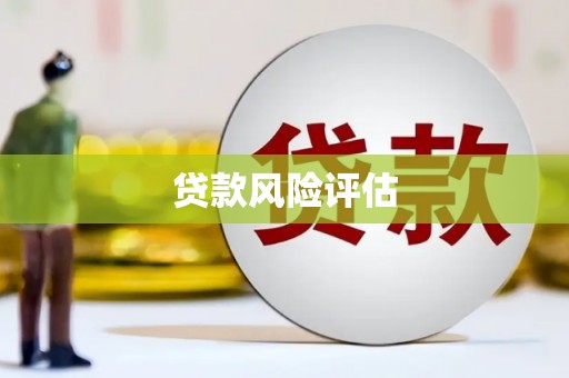 日喀则贷款风险评估
